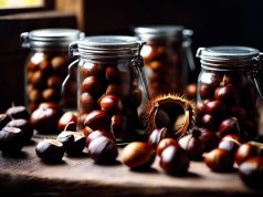 Las mejores estrategias para conservar bien las castañas Las mejores estrategias para conservar bien las castañas